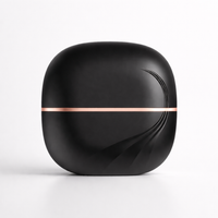 Cordless Mini Hair Straightener